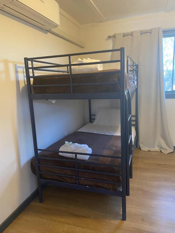 Mungo Lodge Surroundings